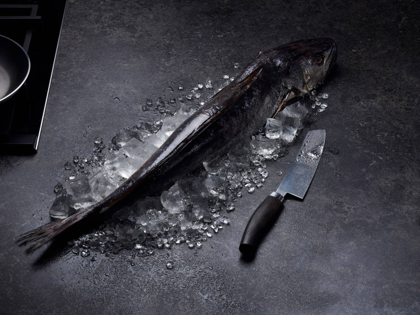  Seehecht auf Eisbett in einer dunklen Küche, daneben ein Messer zur Zubereitung - Fotografie und Konzeption durch Studio hackenberg für ChefsCulinar 